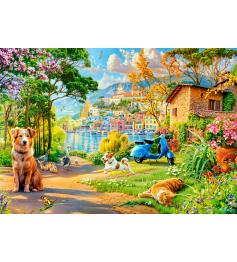 Puzzle Castorland Chemin Du Lac 500 pièces