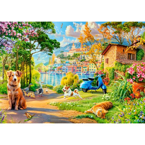 Puzzle Castorland Chemin Du Lac 500 pièces