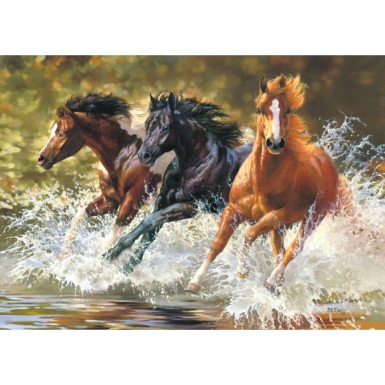 Puzzle Castorland Splash 500 pièces