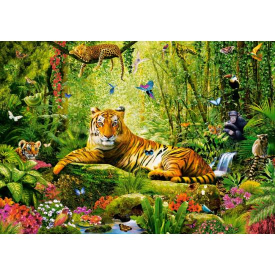 Puzzle Castorland Sa Majesté, Le Tigre 500 pièces