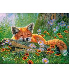 Puzzle Castorland Rêves Foxy de 100 Pieces