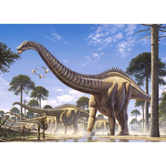 Puzzle Castorland Supersaurus 1000 pièces