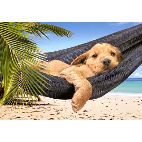 Puzzle Castorland Temps de repos 500 pièces