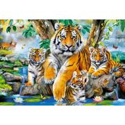 Puzzle Castorland Tigres dans le ruisseau 1000 pièces