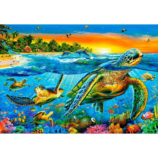 Puzzle Castorland Tortues Aquatiques 1000 Pièces