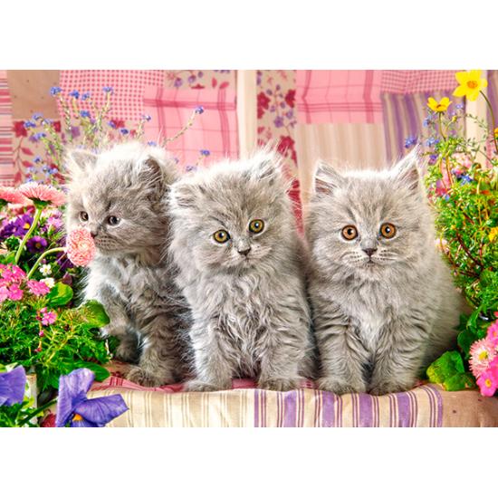 Puzzle Castorland Trois chatons gris 260 pièces
