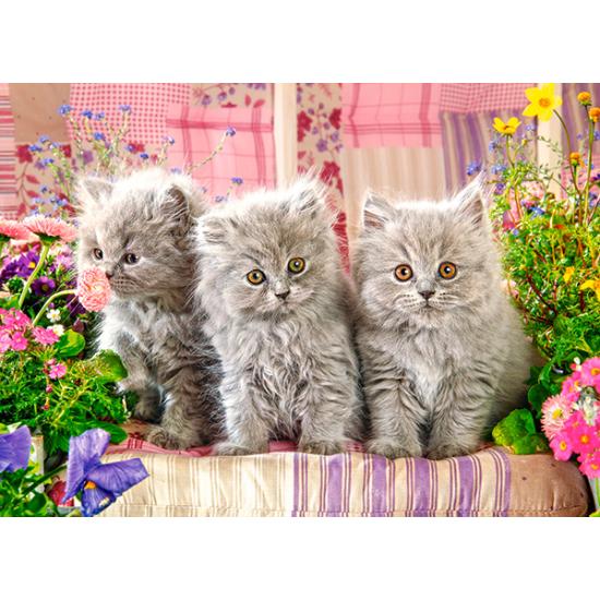 Puzzle Castorland Trois chatons gris 300 pièces