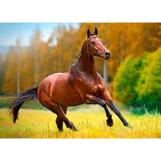 Puzzle Vent d'automne Castorland 180 pièces