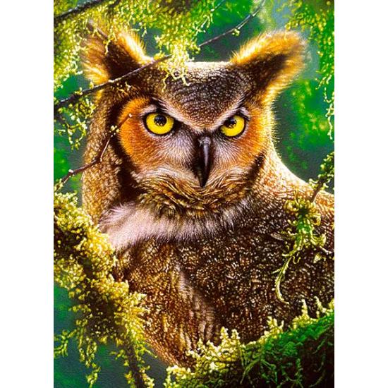 Castorland Watching and Waiting Puzzle 300 pièces