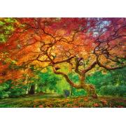 Puzzle de 1000 pièces Cherry Pazzi Tree Splashed Reddish