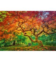 Puzzle de 1000 pièces Cherry Pazzi Tree Splashed Reddish