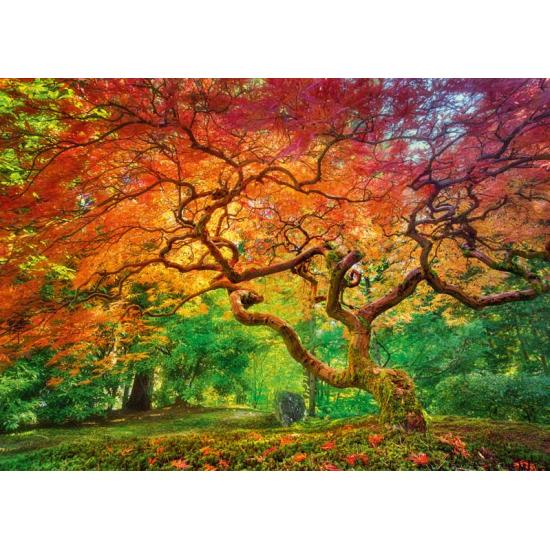 Puzzle de 1000 pièces Cherry Pazzi Tree Splashed Reddish