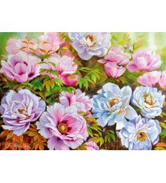 Puzzle Cerise Pazzi Fleurs, Poenyssimo Opus 5 1000 pièces