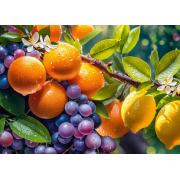 Puzzle Cherry Pazzi Fruits Ensoleillés 1000 pièces