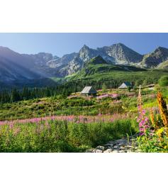Cerise Pazzi Hala Gasienicowa Puzzle, Tatras 1000 Pz