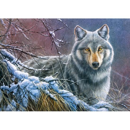 Puzzle Cherry Pazzi Loup gris 1000 pièces