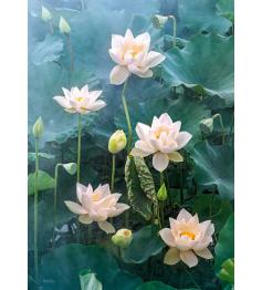 Puzzle 1000 pièces Cherry Pazzi Lotus blanc