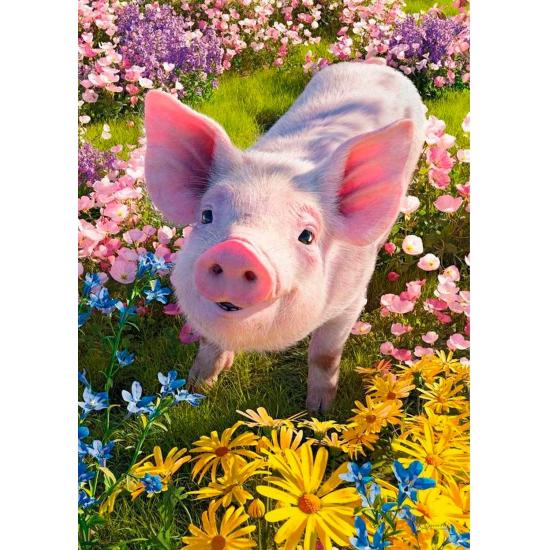 Puzzle Cherry Pazzi Est-ce que tu m'aimes de 500 pièces