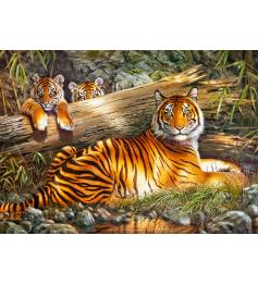 Puzzle 1000 pièces Cherry Pazzi Tigre calme