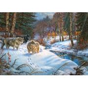 Cherry Pazzi Valley of Shadows Puzzle 1000 pièces