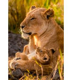 Puzzle Clementoni Amour Félin 500 pièces