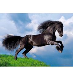Clementoni Puzzle cheval frison noir 500 pièces