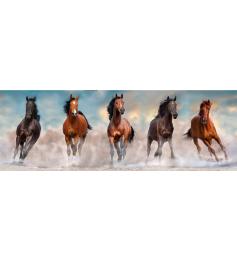 Puzzle Clementoni Chevaux au galop Panorama 1000 pièces