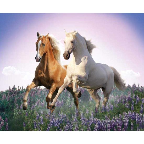 Puzzle Clementoni Chevaux Libres 500 Pièces