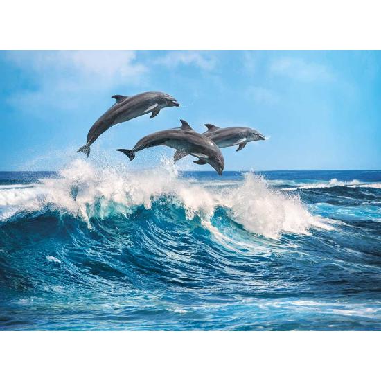 Puzzle Clementoni Dauphins 500 pièces