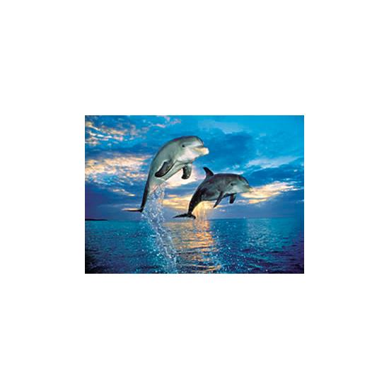 Clementoni Dauphins Puzzle 500 pièces