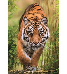 Puzzle Clementoni Le Chemin Du Chasseur 1000 pièces