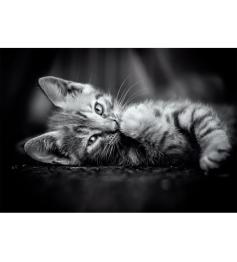 Puzzle Clementoni Chaton 1000 pièces