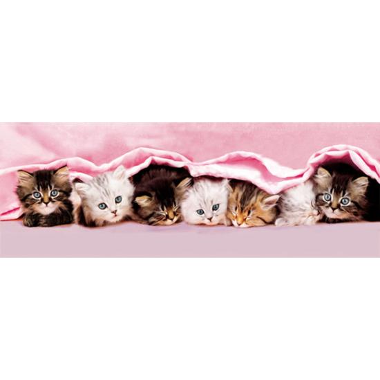 Puzzle Clementoni Chatons sous la couverture 1000 pièces