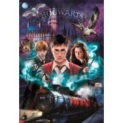 Puzzle Clementoni Harry Potter Hogwarts de 1000 pcs