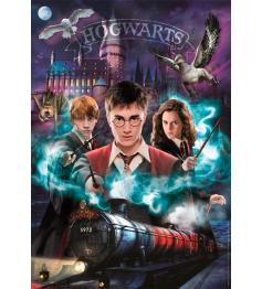 Puzzle Clementoni Harry Potter Hogwarts de 1000 pcs