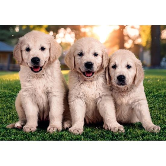Puzzle Clementoni Frères En Fourrure 2 x 60 pièces