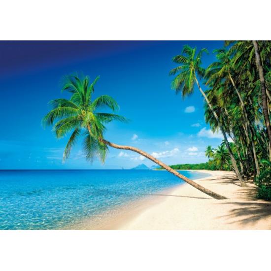 Puzzle Clementoni Ile Martinique 1500 pièces