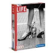 Clementoni Life Chihuahua Puzzle 1000 pièces