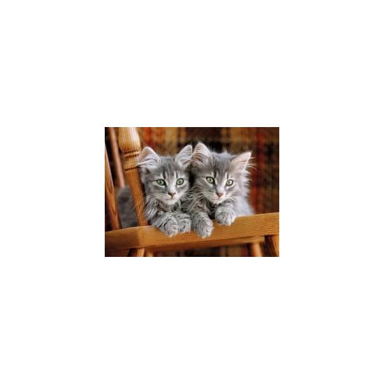 Puzzle Clementoni Les chatons 500 pièces