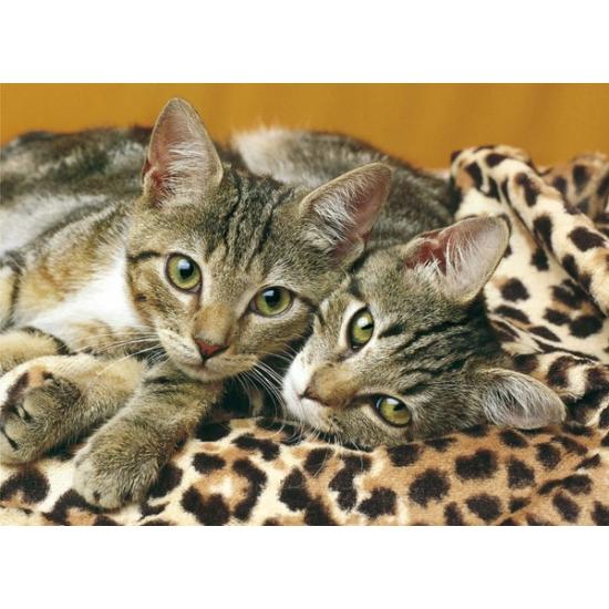 Puzzle Clementoni Les Yeux du Chat 1000 pièces