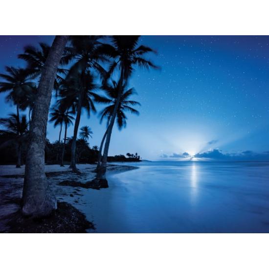 Clementoni Croissant de Lune Puzzle 500 pièces