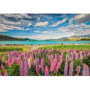 Puzzle Clementoni Lupins au lac Tekapo 1500 pièces