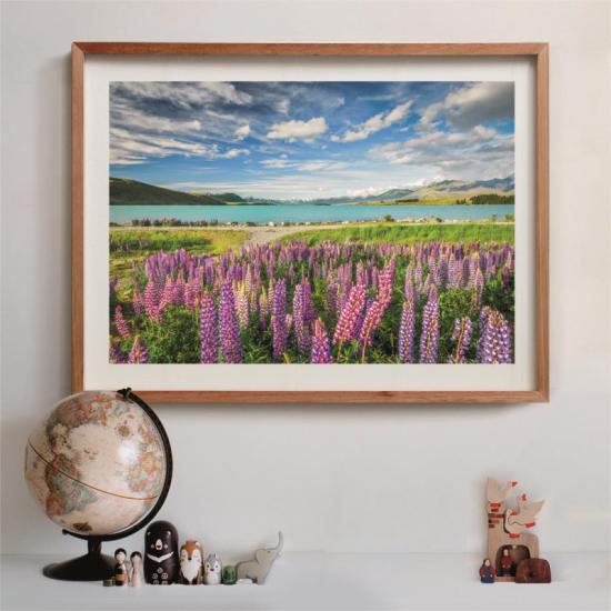 Puzzle Clementoni Lupins au lac Tekapo 1500 pièces