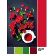 Clementoni PANTONE 186 Puzzle, Parfum Fleur d'Hibiscus de 10