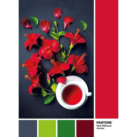 Clementoni PANTONE 186 Puzzle, Parfum Fleur d'Hibiscus de 10