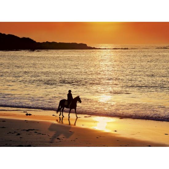 Clementoni Horse Ride Puzzle 500 pièces