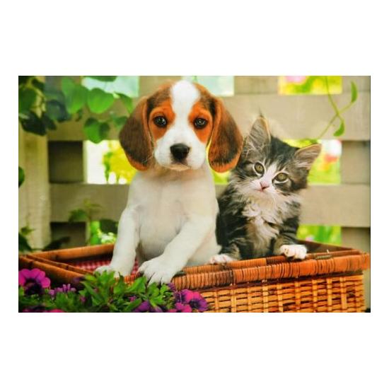 Puzzle Clementoni Chiot et Chaton 1000 pièces