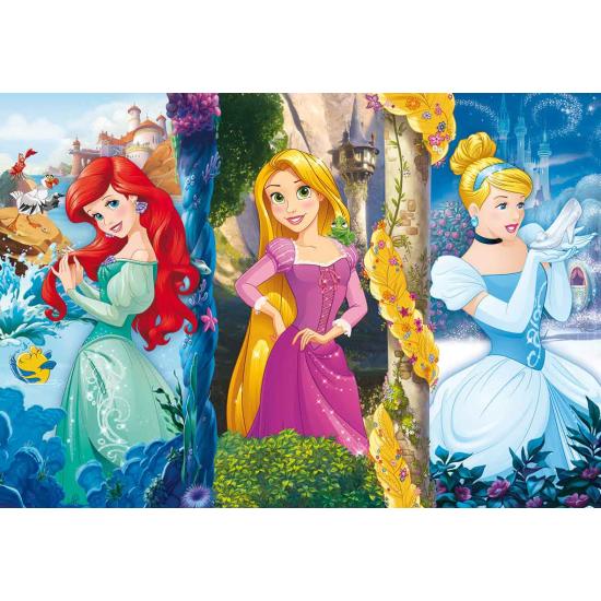 Clementoni Disney Princess Maxi Puzzle 60 pièces Clementoni Disney Princess Maxi Puzzle 60 pièces