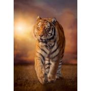 Clementoni Tiger au coucher du soleil Puzzle 1500 pièces