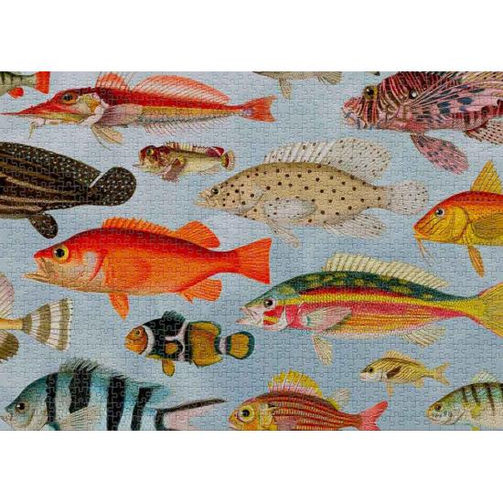 Puzzle aquatique de 1000 pièces de chicouté